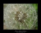 dailyPhoto14