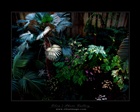 dailyPhoto12