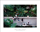 dailyPhoto8