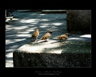 dailyPhoto25