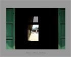 dailyPhoto8