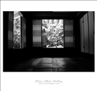 dailyPhoto9