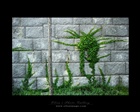 dailyPhoto2
