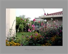 dailyPhoto5