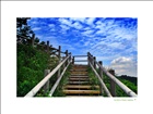 dailyPhoto9