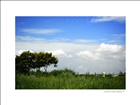 dailyPhoto11