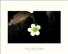 dailyPhoto31