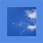 dailyPhoto40
