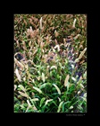 dailyPhoto29