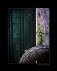 dailyPhoto20