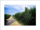 dailyPhoto6