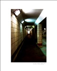 dailyPhoto9
