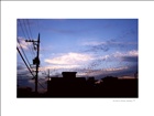 dailyPhoto6