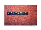 dailyPhoto21