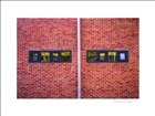 dailyPhoto35