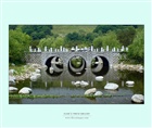 dailyPhoto9