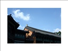 dailyPhoto1