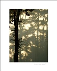 dailyPhoto9