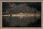 dailyPhoto3