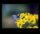 dailyPhoto22