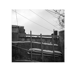 dailyPhoto22