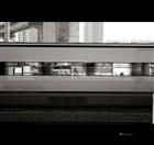 dailyPhoto19