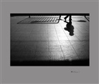 dailyPhoto10