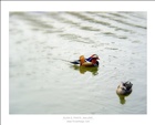 dailyPhoto19