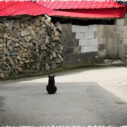 dailyPhoto14