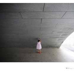 dailyPhoto7