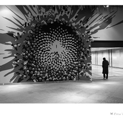 dailyPhoto8