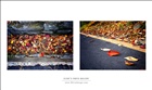 dailyPhoto6