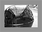 dailyPhoto11