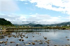 dailyPhoto29