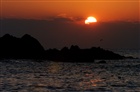 dailyPhoto7