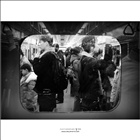 dailyPhoto11