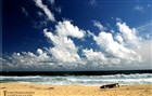 dailyPhoto38