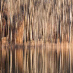 dailyPhoto29