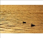 dailyPhoto30