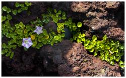 dailyPhoto6