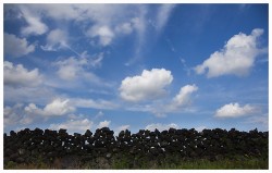 dailyPhoto10