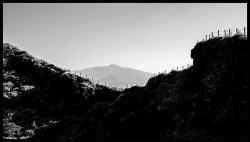 dailyPhoto32