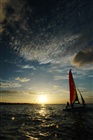 dailyPhoto8