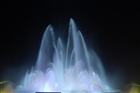 dailyPhoto11