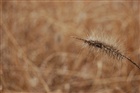 dailyPhoto10