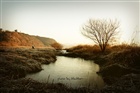 dailyPhoto40