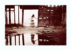 dailyPhoto34