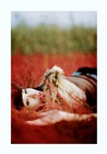 dailyPhoto10