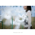 dailyPhoto9