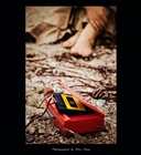 dailyPhoto9